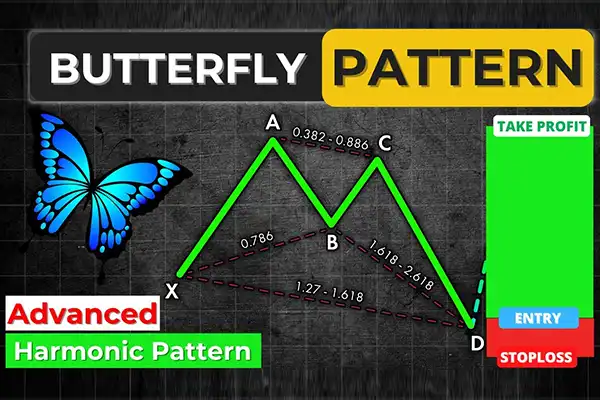 الگوی هارمونیک پروانه‌ای از چهار نوسان قیمت XA ,AB ,BC ,CD و پنج نقطه نوسان X، A، B، C و D تشکیل شده است.
