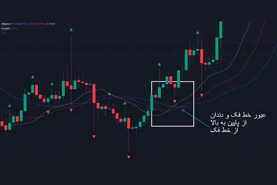 با فعال‌سازی فراکتال روی چارت، فلش‌هایی در بالای کندل‌های ژاپنی به بالا یا زیر کندل به پایین ایجاد می‌شود. 