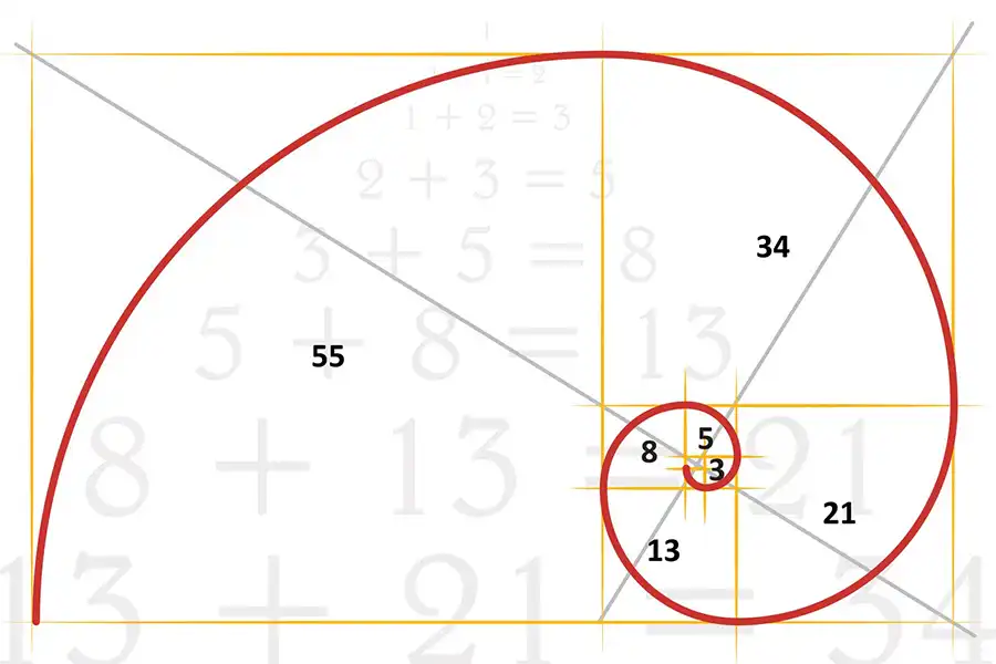 نسبت دنباله فیبوناچی از ۱.۵ شروع می‌شود و به‌تدریج بر مقدار آن افزوده می‌شود تا به نسبت طلایی ۱.۶۱۸ برسد و پس از آن با ادامه این مجموعه اعداد، این رقم ثابت باقی می‌ماند و دیگر تغییر نمی‌کند.