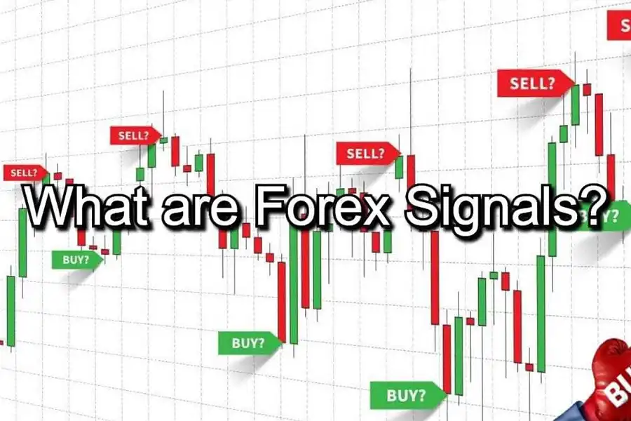 برای دریافت بهترین سیگنال در فارکس لازم است تا یک