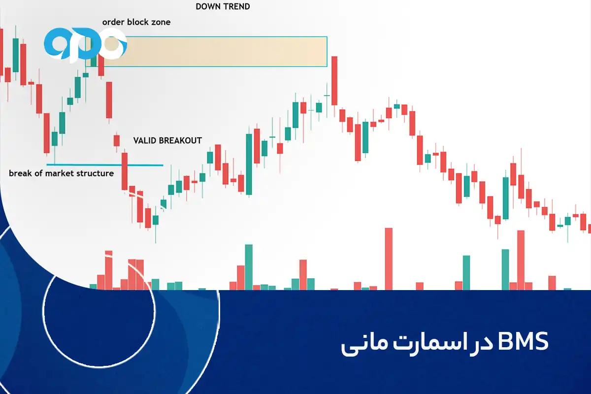 BMS در اسمارت مانی