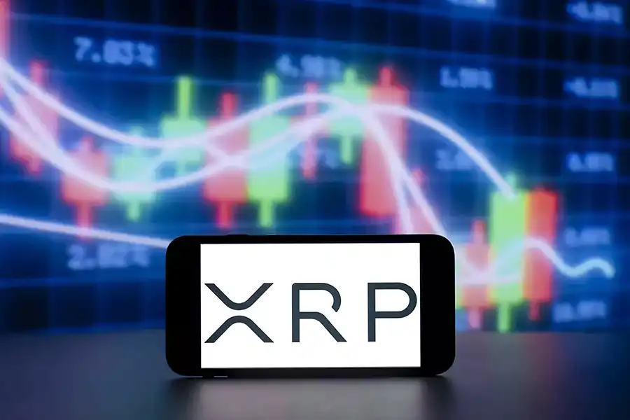 هر کیف پول XRP دارای یک آدرس عمومی برای دریافت رمزارز و یک کلید خصوصی مخفی برای دسترسی و مدیریت ارزهای دیجیتال است.