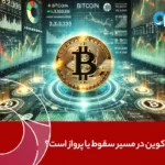 آیا بیت‌کوین در مسیر سقوط یا پرواز است؟